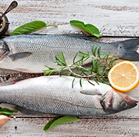 Intolerância a Peixes, crustáceos e frutos do mar: